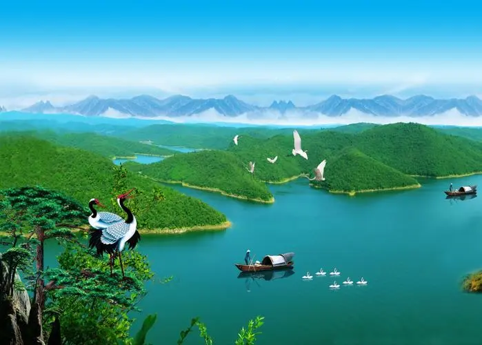 全自动高效